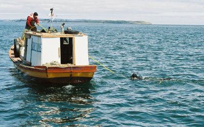 Pesca Sustentable lanzará solución tecnológica para contribuir a la protección de los Derechos Humanos en la pesca artesanal