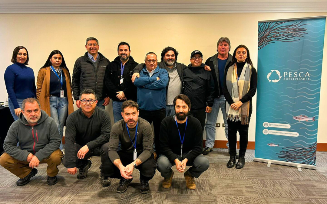 Con representantes de toda la cadena de valor: se conforma Alianza Chilena por la Sustentabilidad del Calamar Gigante de origen Artesanal