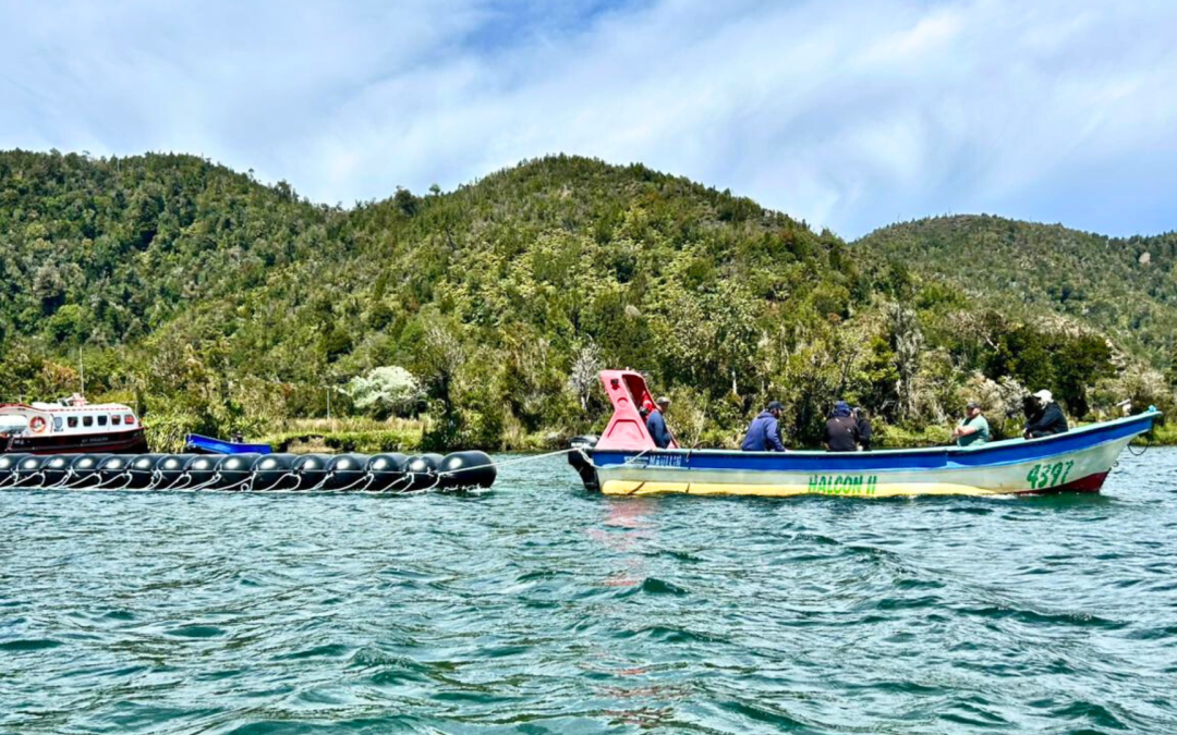Futuro Azul impulsa certificación de origen responsable para los alimentos del mar: Comunidad de Caleta Huellelhue participará en proyecto piloto