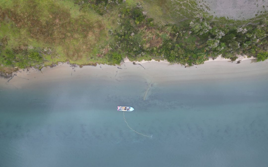 Entre mar y alerces: Una travesía de 11 kilómetros hacia Caleta Huellelhue, uno de los bosques costeros mejor conservados del sur de Chile