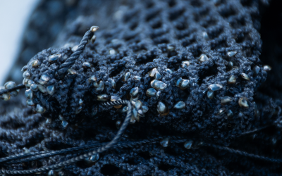 Más de un millón de semillas de choro zapato vuelven al Río Huellelhue: estudiantes del Liceo Politécnico Pesquero de Mehuín participan en inédita iniciativa de restauración