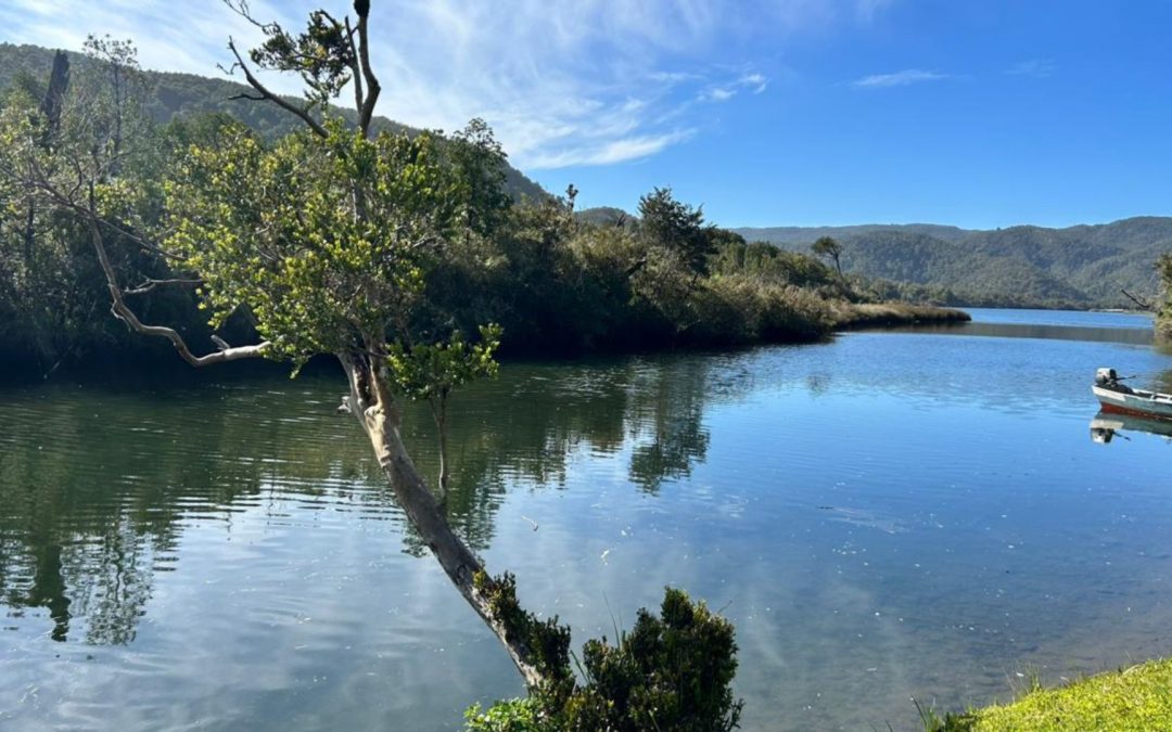 WWF Chile y Centro de Pesca Sustentable inician nueva etapa de Guardianes del Mar en el ACMU Lafken Mapu Lahual