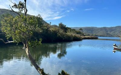 WWF Chile y Centro de Pesca Sustentable inician nueva etapa de Guardianes del Mar en el ACMU Lafken Mapu Lahual